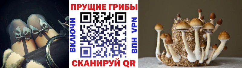 Купить  Боровск  Галлюциногенные грибы мухоморы 